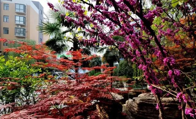 咸阳市西华泰,咸阳西华泰小区复式