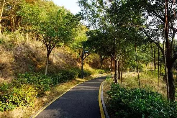 深圳单车爬山攻略推荐,来深圳必游的五大景点