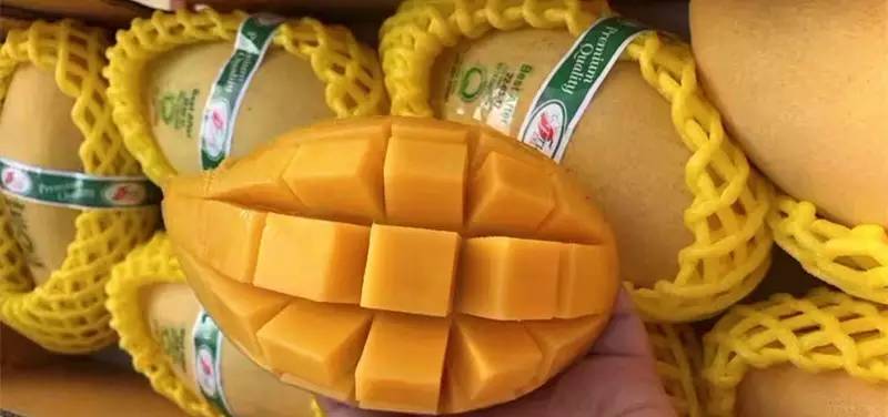 这芒果的味道太惊艳!年销6000万的批发商靠它成上海芒果一姐