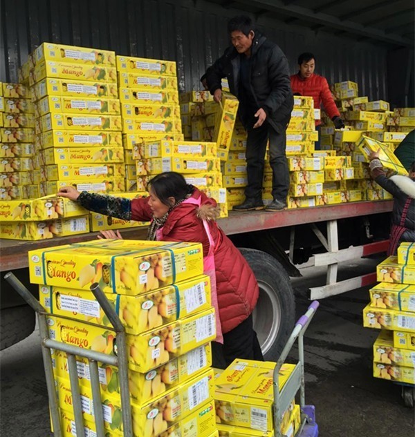 这芒果的味道太惊艳!年销6000万的批发商靠它成上海芒果一姐