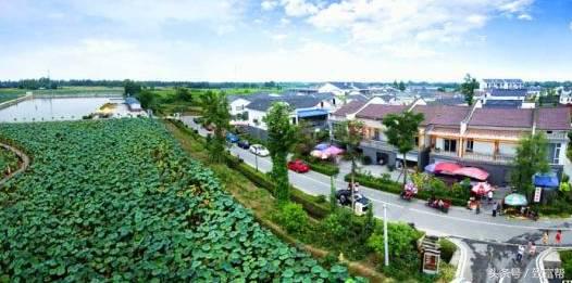 还嫌种粮不赚钱?这款新模式带您分分钟致富!