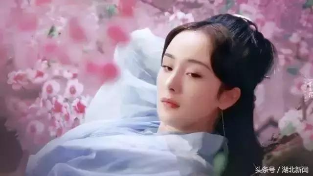 只剩最后几天，还不赶紧赏花！小心后悔一年！