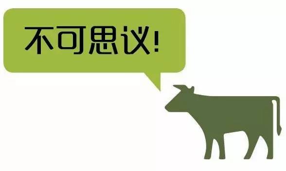 美国人造肉品牌大全,美国人造肉的视频