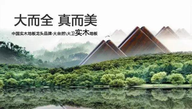 大卫大自然地板,大自然与大卫木地板的区别