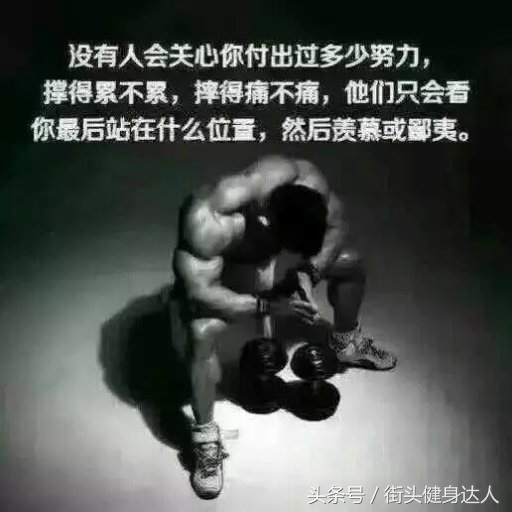 蛋白粉和增肌粉和肌酸推荐哪个,增肌蛋白粉推荐一览表