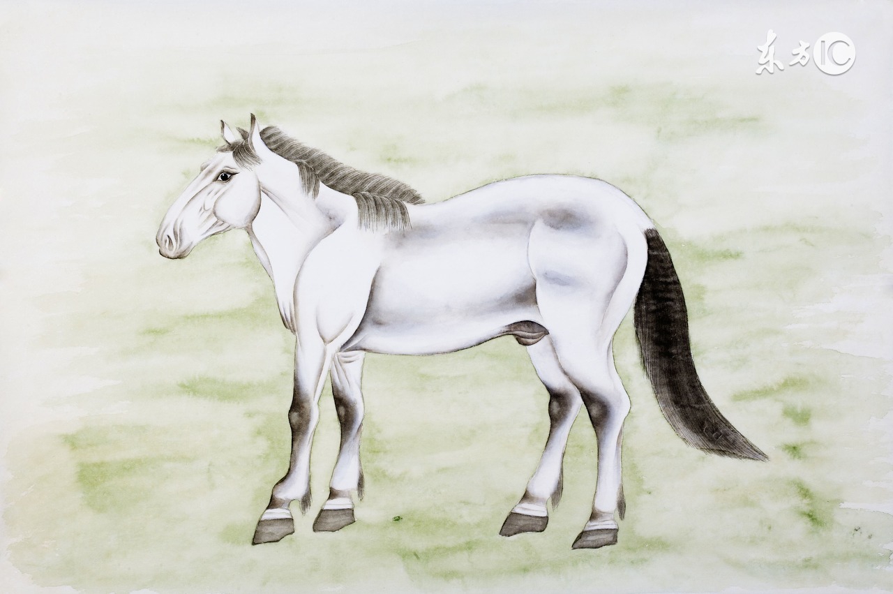 聪明又不露大智慧的三大生肖,聪明又傻的3大生肖