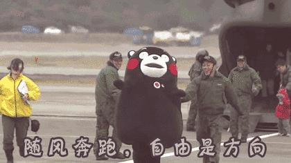 荷兰猪外出郊游，操心的事太多，其实只要做到这几点就可以了