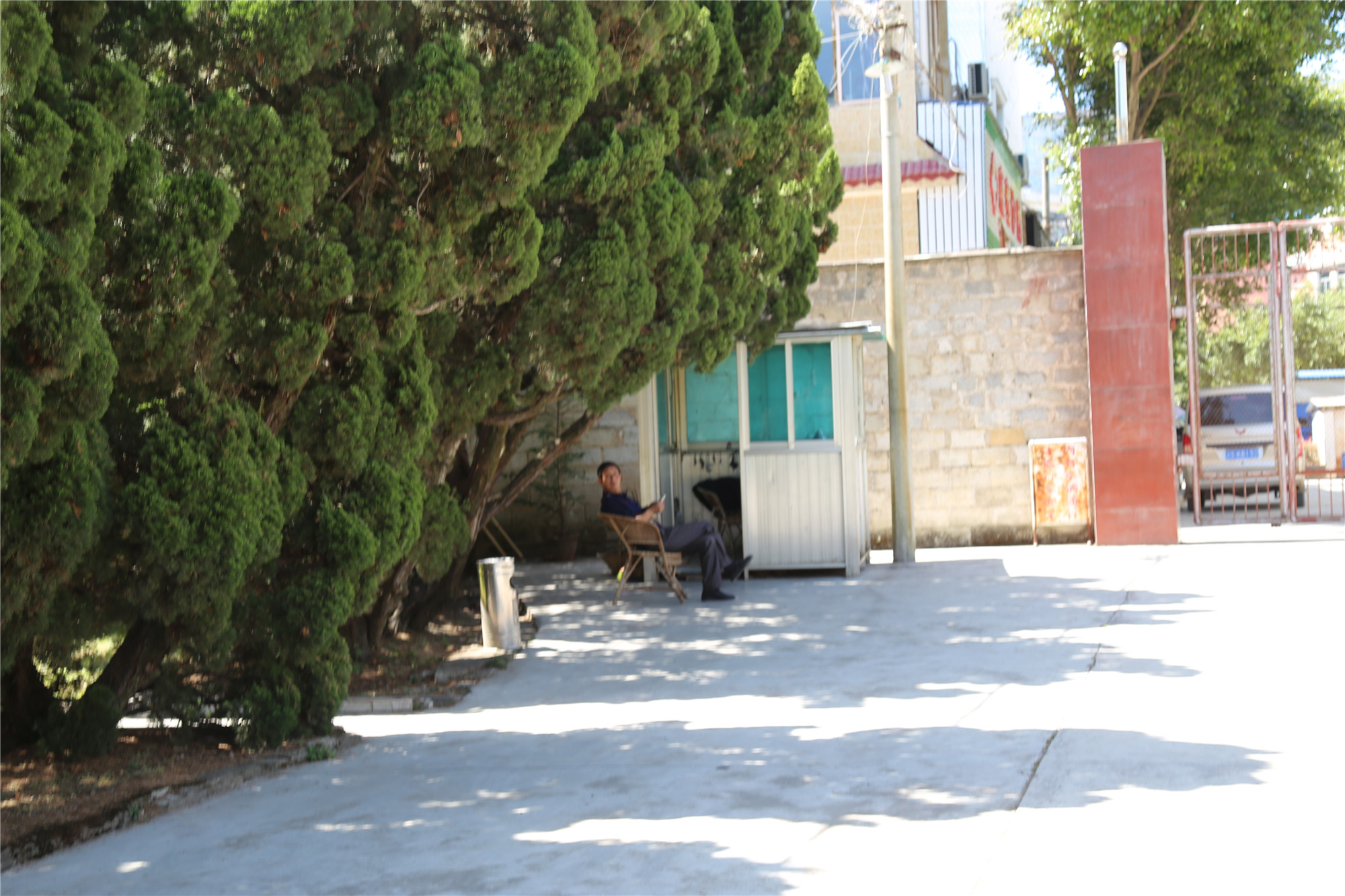 滇红记忆中国名茶,滇红创始人冯绍裘