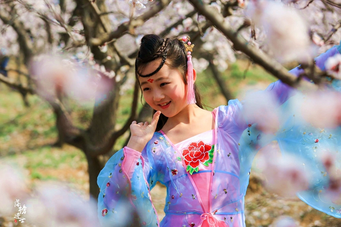 五彩小花童，在杏花从中上演三生三世！