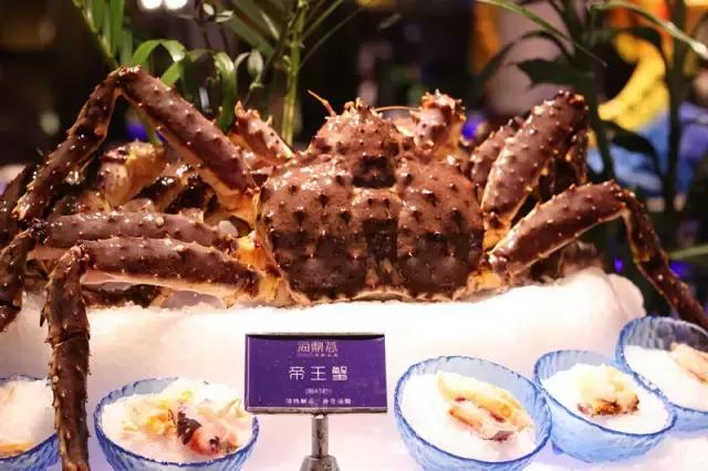 逆天啦,海鼎荟厦门生蚝