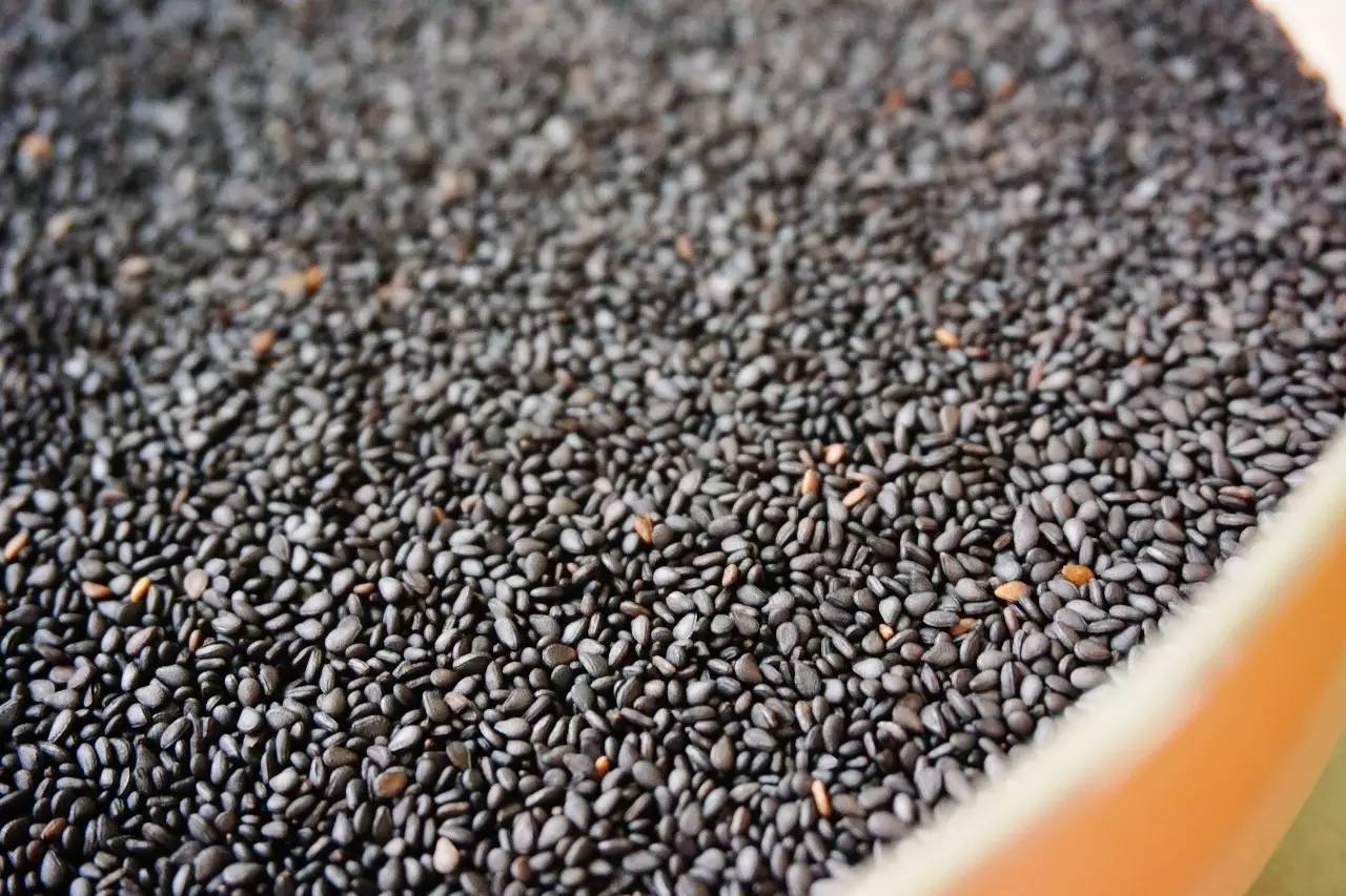 儿童吃什么奶酪最有营养,儿童吃什么奶酪好吃又健康