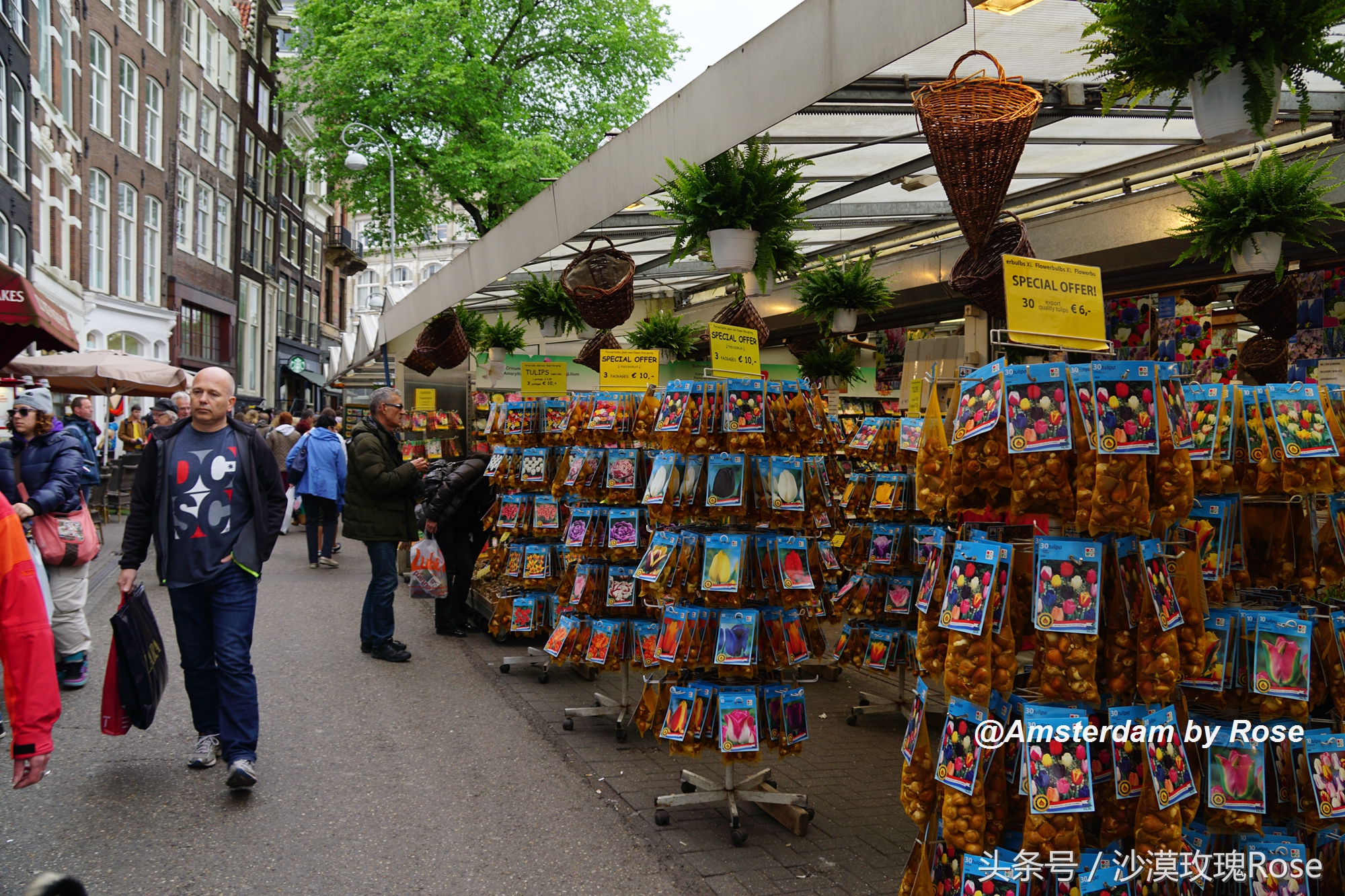 建在水上的鲜花市场，荷兰女王也骑车来买花