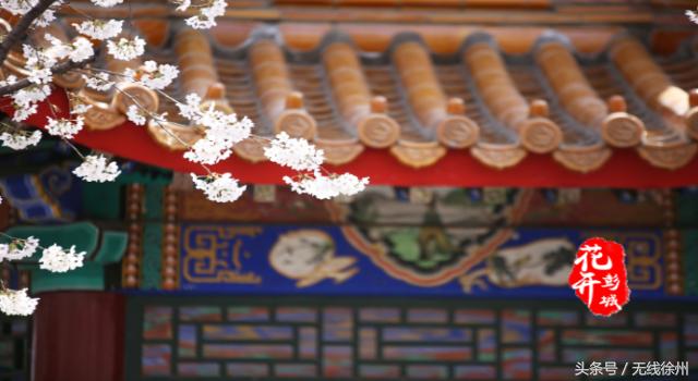 最美人间四月天花开如梦,最美人间四月天书香浸润满校园