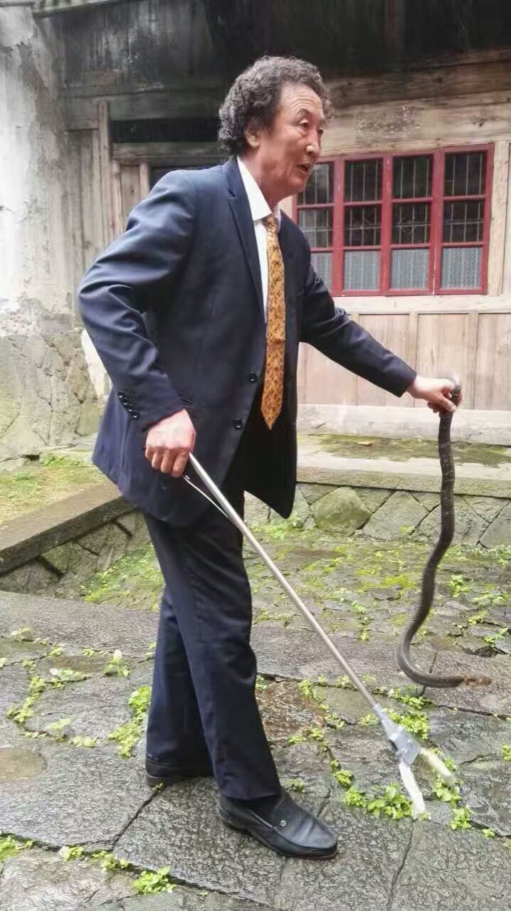 中国蛇王纪录片,中国蛇王钱龙飞
