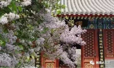 4月整整11天假!瓷器们,这些好消息请查收!