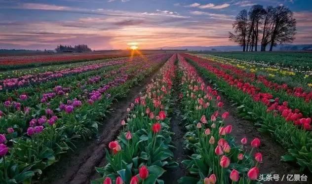 渝北区十大景点,渝北风景优美的景点