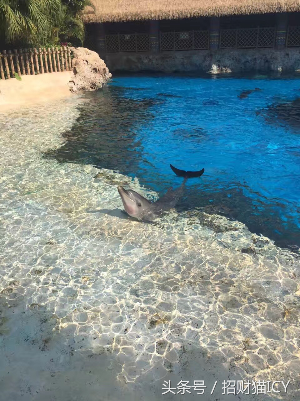 珠海长隆奇幻之旅,广州珠海长隆两天一夜攻略