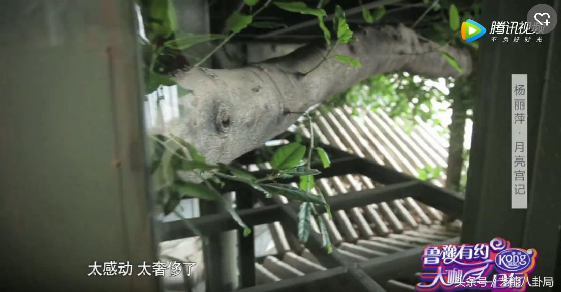 杨丽萍洱海私宅,杨丽萍洱海宫殿