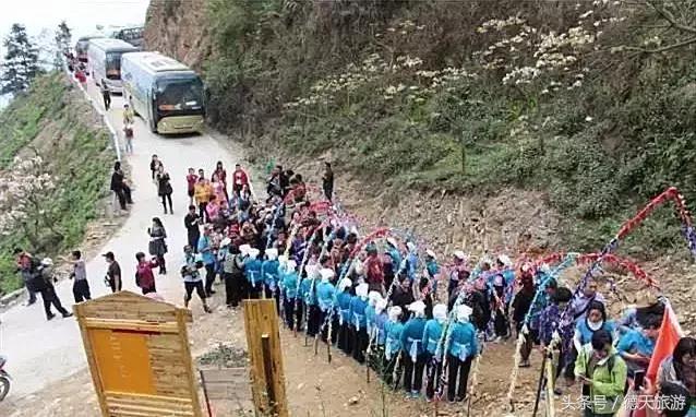 油桐花节完整视频,油桐花旅游节