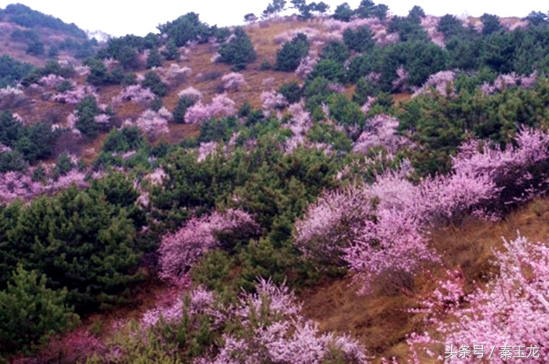 甘肃平凉的平凉话,平凉泾川县话