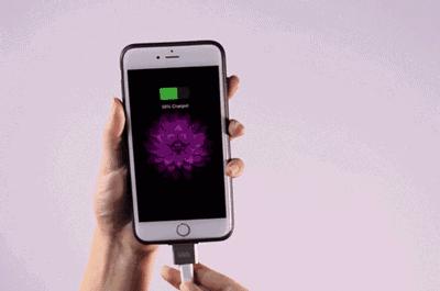 稀奇古怪的保险,有什么奇奇怪怪的保险