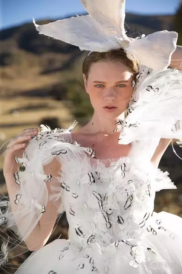 金贝外拍灯,金贝外拍灯测评