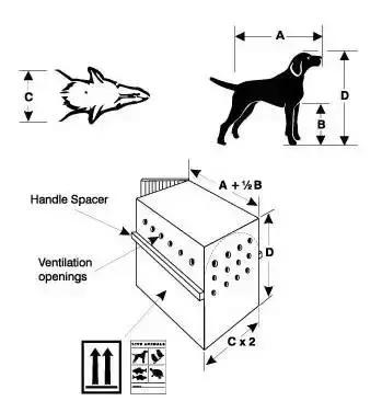各航空宠物托运,航空托运宠物最新规定