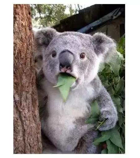 玩儿好了，就是艺术︱英特·青年大集