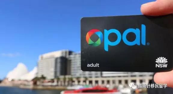 明明在澳洲吃土，你却说我是行走的RMB，留学生的钱都花哪去？