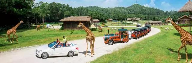 我与花火有个约定，小作家成长体验夏令营！