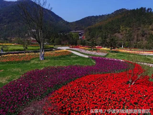 花博园红你是苹果红,我是最正中国红!