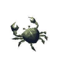 梁嘴馋赐你一个光明正大吃的理由