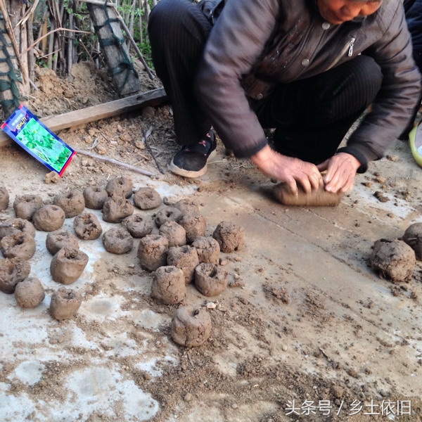 想种出安全绿色蔬菜该怎么做,怎么才能种出又新鲜又好吃的蔬菜