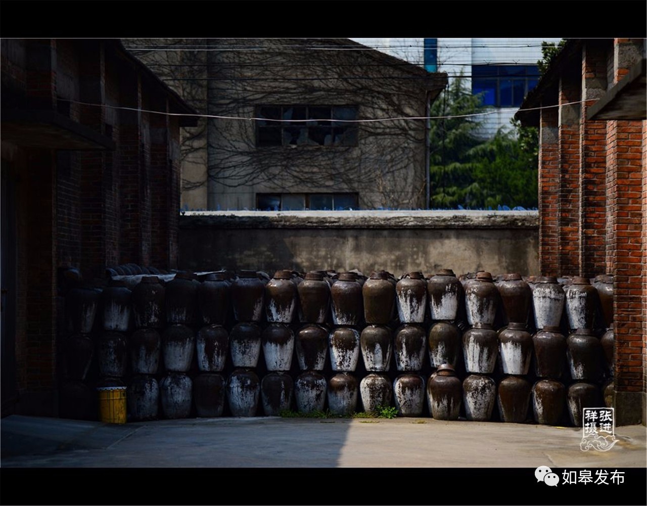 定了！从今天起，如皋白蒲古镇将列入每个人的旅行清单！