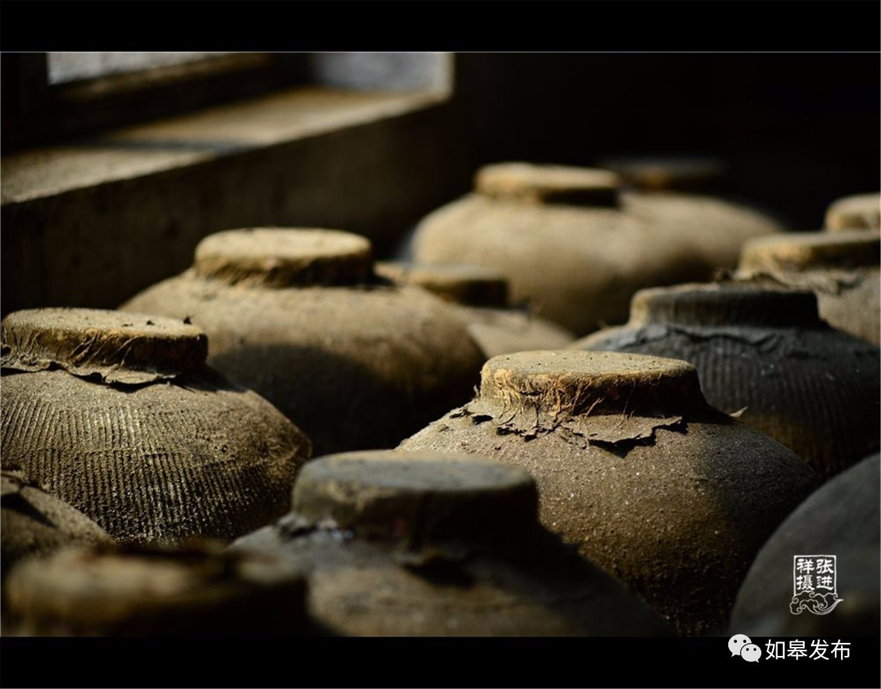 定了！从今天起，如皋白蒲古镇将列入每个人的旅行清单！