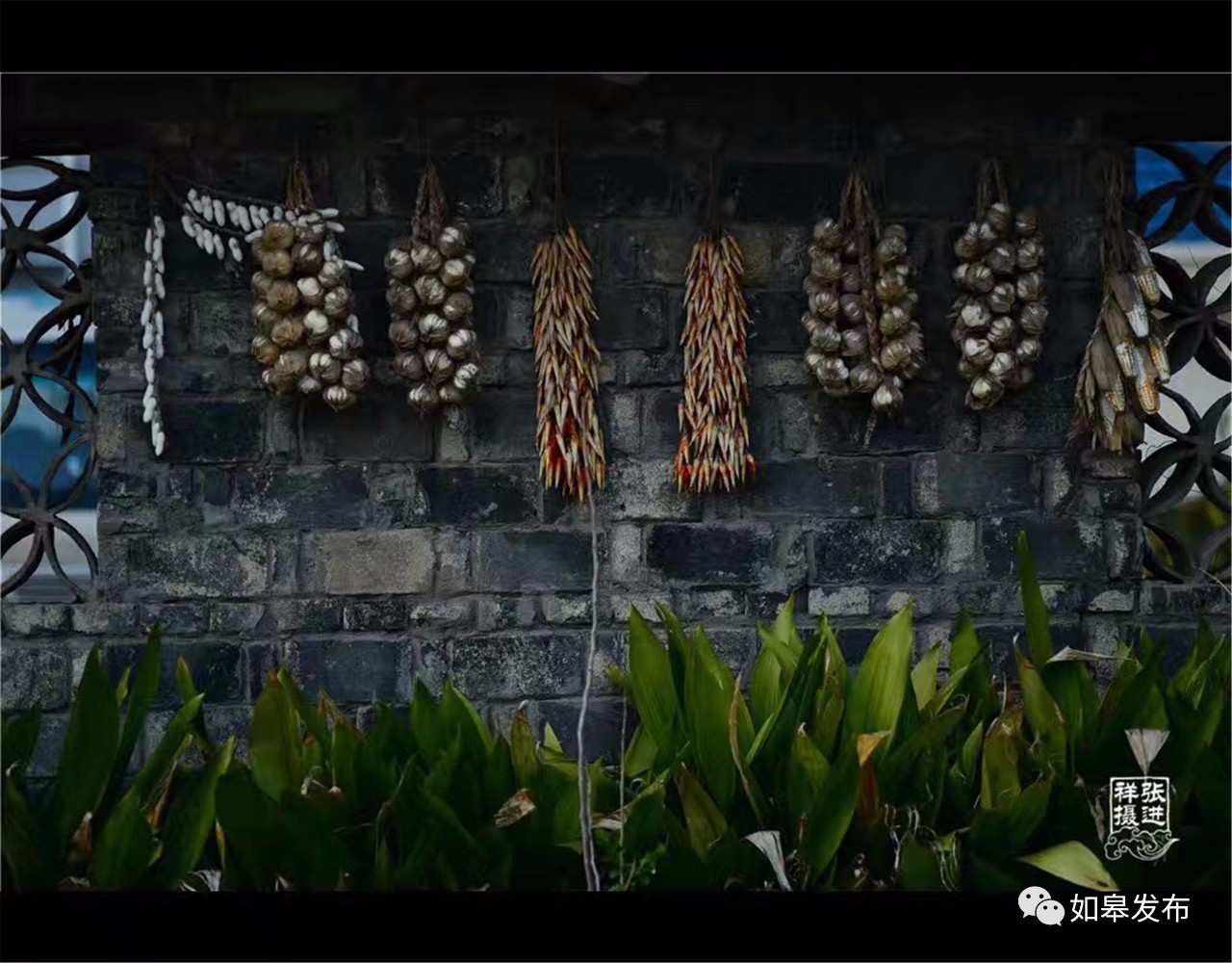 定了！从今天起，如皋白蒲古镇将列入每个人的旅行清单！