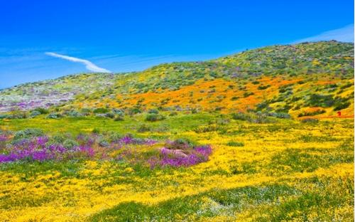 美国钻石湖,美国钻石公园游玩