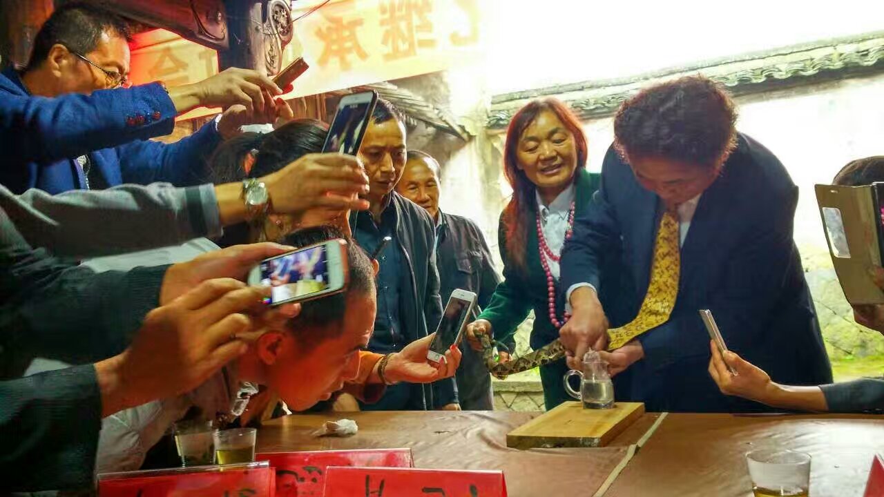 中国蛇王纪录片,中国蛇王钱龙飞