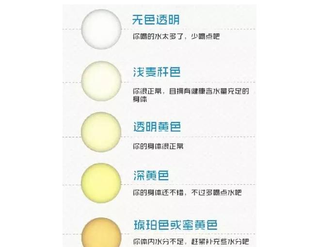 史上最全面的检查项目解读,为了你及家人的健康