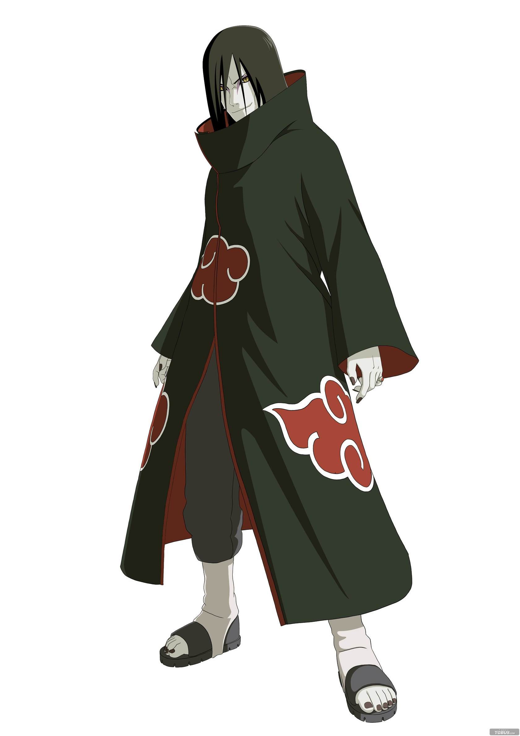 动物世界之澳洲巨蟒,动物世界之巨型蟒蛇