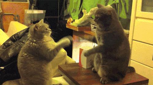 究竟是一部什么样的电影,到底是一部怎样的电视剧呢