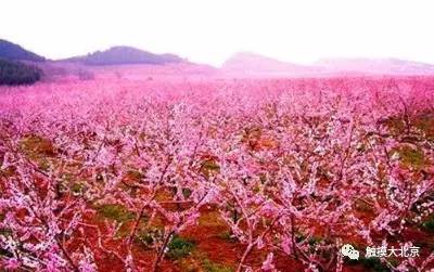 4月整整11天假!瓷器们,这些好消息请查收!