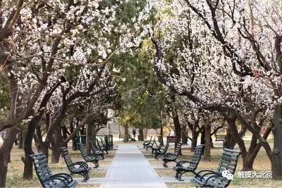 4月整整11天假!瓷器们,这些好消息请查收!