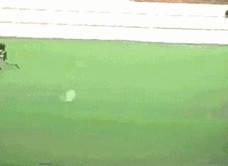 网友恶搞c罗搞笑gif图片,c罗假动作不看人传球gif