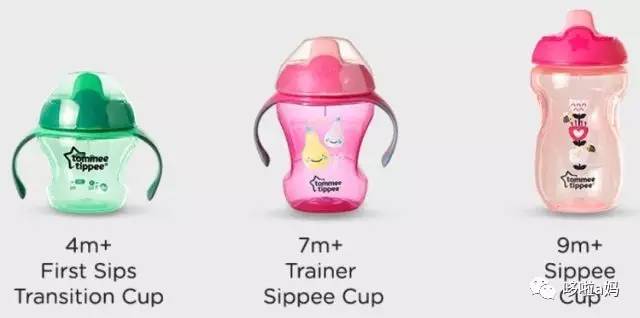 剁手指南｜吸管杯，你买对了吗？