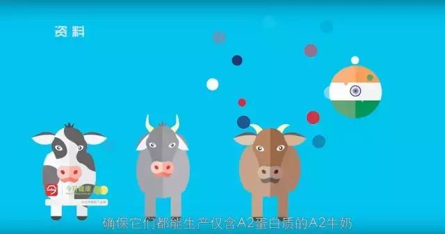 又是a2!中国情侣拿走华人妈妈奶粉钱后消失，几罐奶粉至于么？