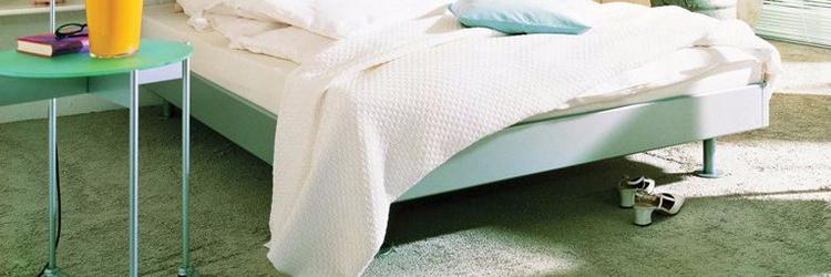 清新自得,一室绿意聚为林