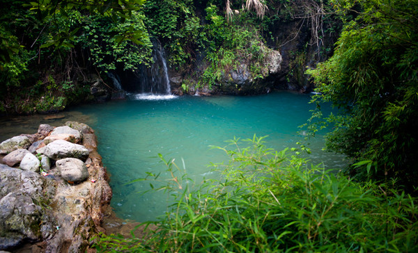 清明深圳周边一日游好去处,深圳仙湖植物园清明踏青赏花