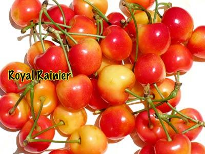 甜樱桃可持续发展的措施,美国加州樱桃