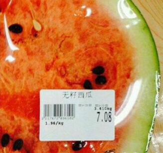 蚂蚁和大象结婚的笑话,蚂蚁和大象笑话大全爆笑